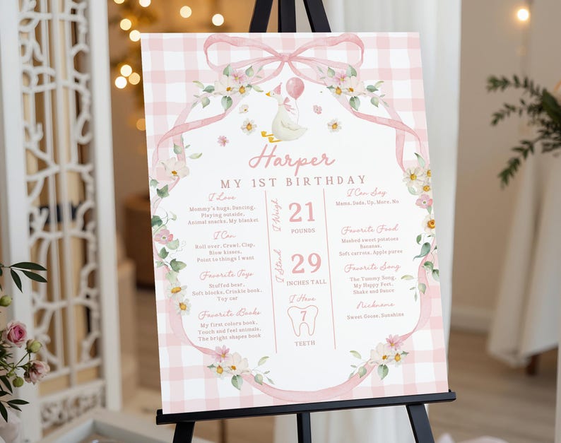 Birthday Milestone Sign: Silly Goose Theme, Pink Bow - Editable Canva File Bir608 image 3