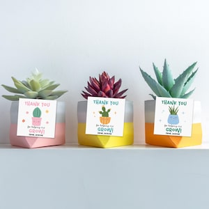 May include: Three small succulent plants in geometric pots. Each pot is painted with a color block design in pink, yellow, and orange. Each plant has a tag that says "THANK YOU" and "for helping me GROW!"