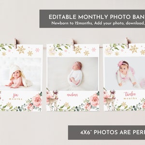 Winter woodland Monthly photo Birthday banner Winter Onederland photo banner Deer snowflake 1st birthday banner Editable Printable Bir394