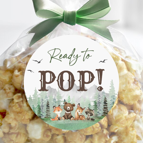 Ready To Pop Stickers Woodland Baby Shower Favor Tags Popcorn Labels Let the Adventure Begin Woodland Animals Printable Editable Bab194