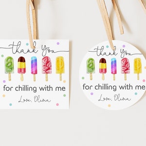 Popsicle Geburtstags Favor Tag Popsicle Dankeschön Rund Quadratisch Etikett Sommer Bunt Geschenk Aufkleber Tag Bearbeitbar Druckbar Download Bir347