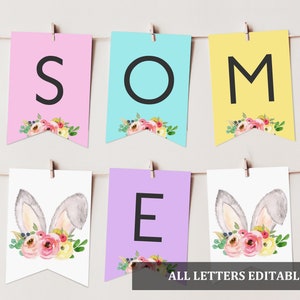 Editable Bunny banner Rabbit Easter Birthday Banner First Birthday Decor Girl 1st Some bunny is one Template Printable Download EaBir8