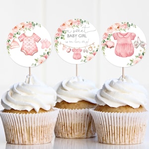 Baby Clothes Cupcake Toppers Round Favor tag Editable Laundry Party Girl Pink Floral Decor Boho Girl Baby Shower Printable Download Bab215