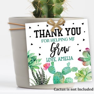 Étiquettes de remerciement professeur cactus Merci de m'avoir aidé à grandir, étiquette professeur cactus Fiesta succulente, téléchargement imprimable modifiable Tat12