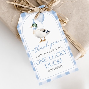 Étiquette de remerciement d'anniversaire de canard modifiable un Lucky Duck étiquettes cadeau colvert étiquette de cadeau imprimable garçon 1ère étiquette de faveur vichy bleu Bir465