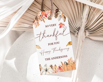 Herbstliche Thanksgiving-Gastgeschenkanhänger – Bearbeitbares rustikales Kürbisdesign Tgt10