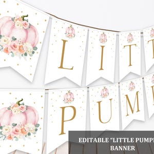 Little Pumpkin Baby Shower Banner - Editable Pink Fall Garland Bab40