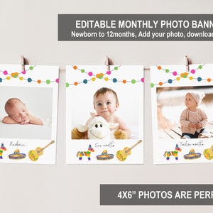 Editable Fiesta Birthday Monthly Photo Banner Mexican First year photo banner First birthday Decorations 12 Months Printable Bir331