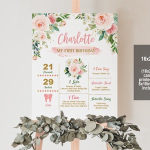 Floral Birthday Milestones Sign Miss Onederful Poster Wild One First Birthday 1st Girl Blush Pink Floral Editable Printable Download Bir303