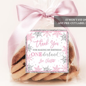 Winter Onederland Favor Tags Winterwunderland Label Schneeflocke Geburtstag Danke Aufkleber Rosa Silber Bearbeitbare Druckbare Download Bir19