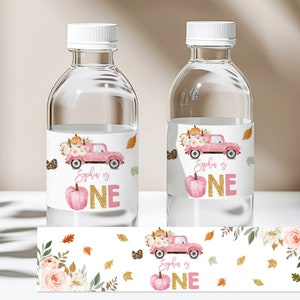 Kürbis 1. Geburtstag Wasserflasche Etiketten Rosa LKW 1. Geburtstag Mädchen Etikett Herbst Kleiner Kürbis ist ein Bearbeitbarer Druckbarer Download Bir316