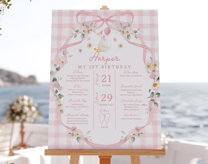 Birthday Milestone Sign: Silly Goose Theme, Pink Bow - Editable Canva File Bir608 image 4
