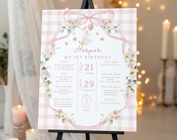Birthday Milestone Sign: Silly Goose Theme, Pink Bow - Editable Canva File Bir608