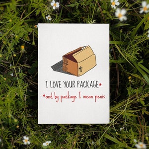 Funny Sexy Card - Naughty Valentine Card - Adult Anniversary Card - Love Card - Love Your Penis