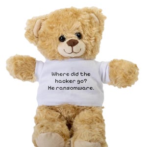 Puede incluir: Un oso de peluche marrón que lleva una camiseta blanca con el texto "Where did the hacker go? He ransomware."