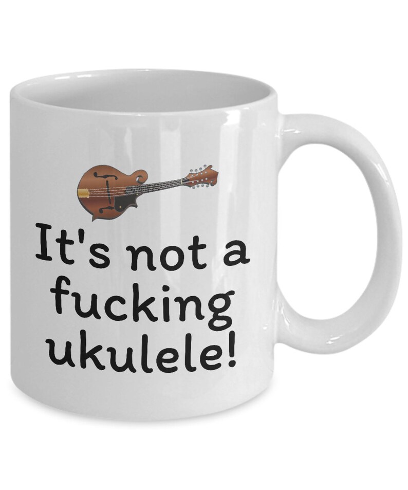 Funny Mandolin Mug Mandolin Player Gift Mandolinist Etsy