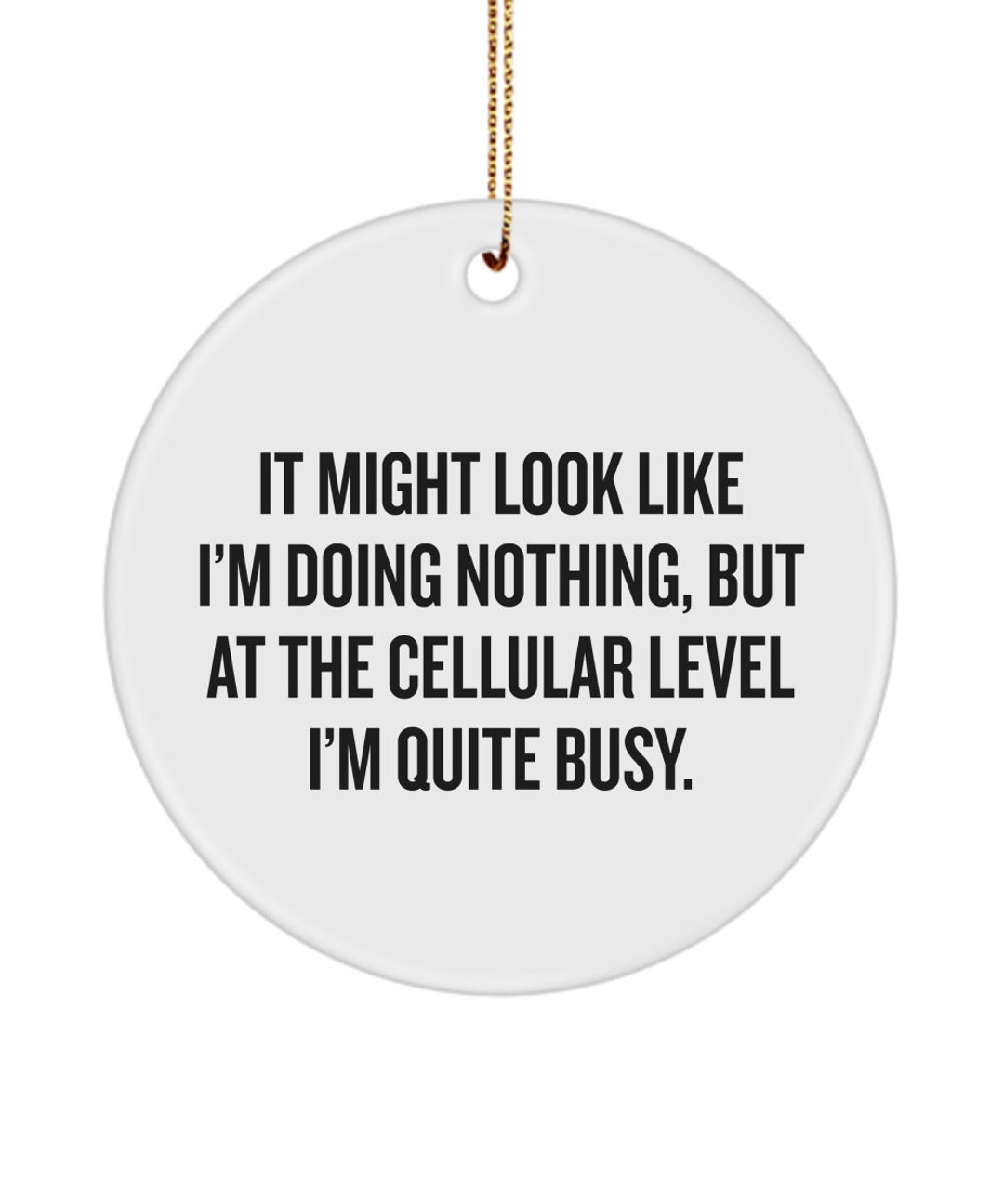 Funny Biology Ceramic Ornament Biology Teacher Gift Etsy