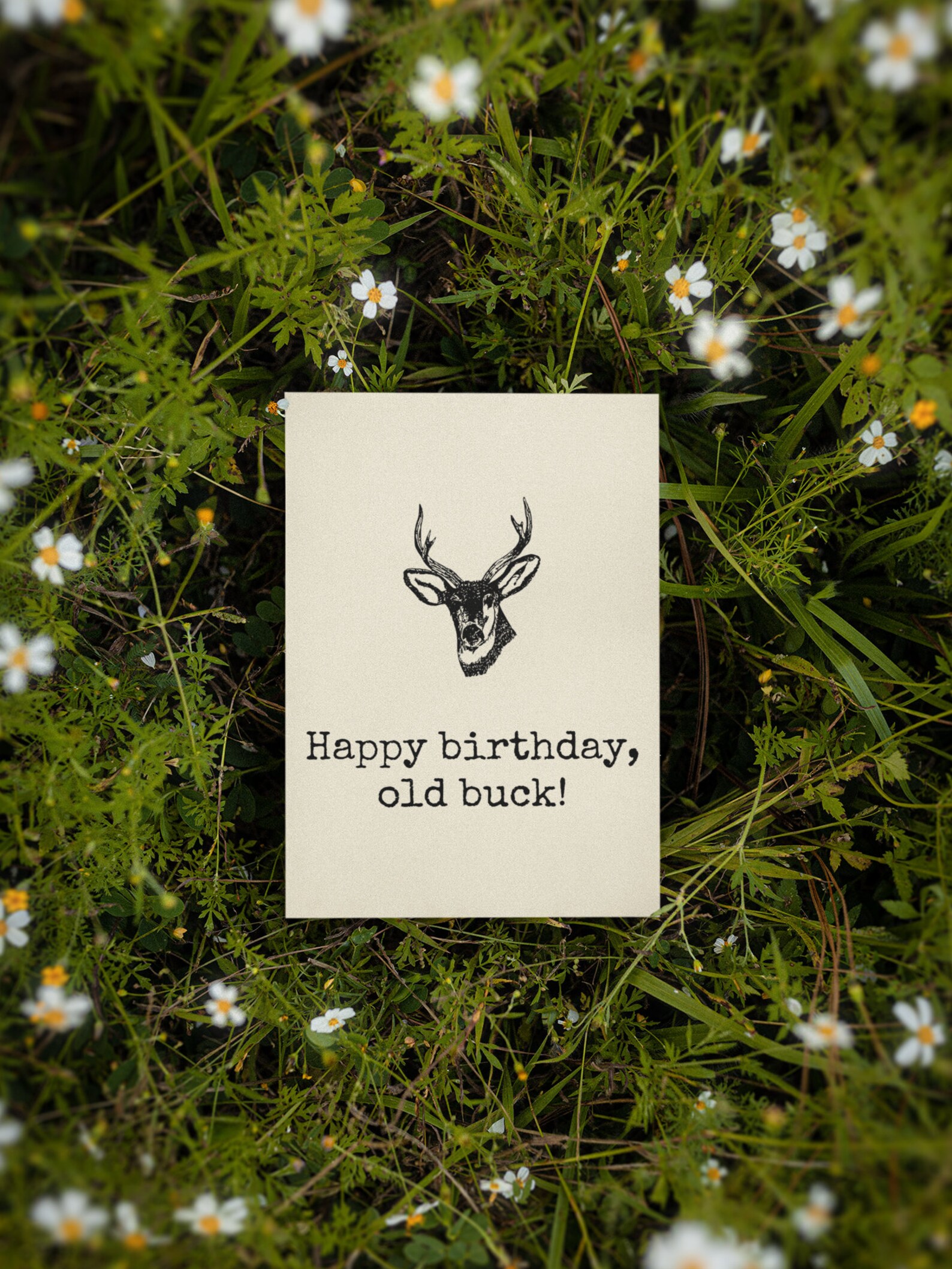 Edle Glückwunschkarte „Wild Life – Happy Birthday“ – Natur/Jagd-Design, 17x12 Cm, Inkl. Umschlag