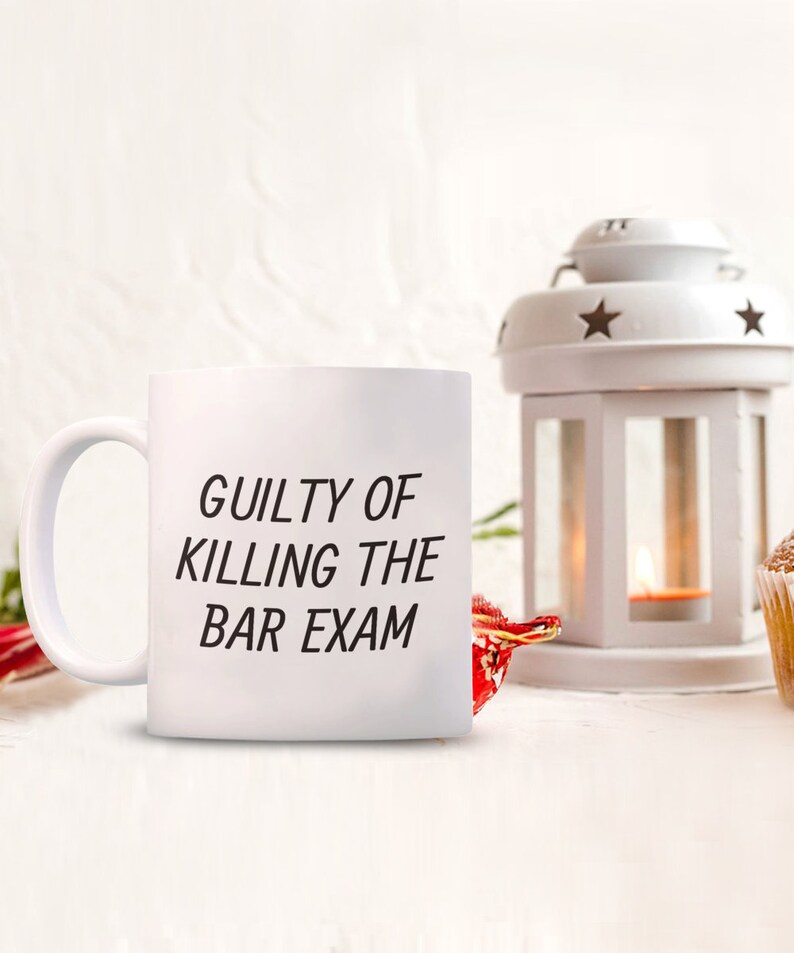 Funny Bar Exam Gift Bar Exam Mug Lawyer Gift Law Student Gift for