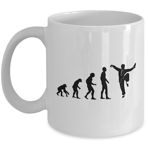 Kung Fu Gift - Funny Kung Fu Mug - Kung-Fu Cup - Evolution Of Humanity