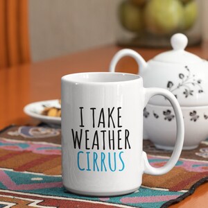 Funny Meteorologist Gift - Meteorology Coffee Mug - I Take Weather ...