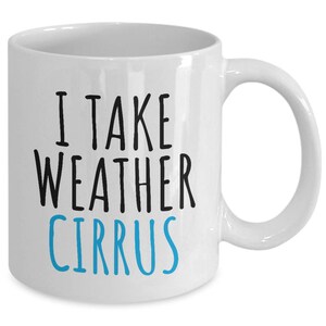 Funny Meteorologist Gift - Meteorology Coffee Mug - I Take Weather ...