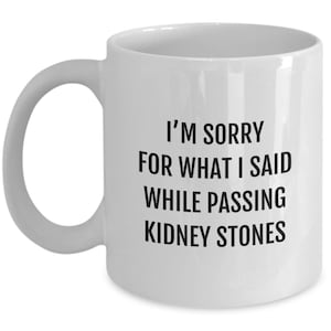 Kidney Stone Mug - Get Well Gift - Funny Kidney Present - I&#39;m Sorry For What I Said While Passing Kidney Stones