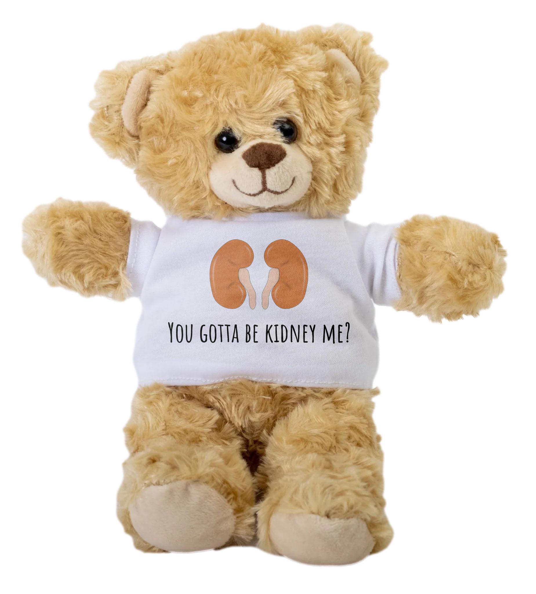 Dialysis Gift - Kidney Disease Teddy Bear - Nephrology Humor - Transplant Survivor Gift - “You Gotta Be Kidney Me”