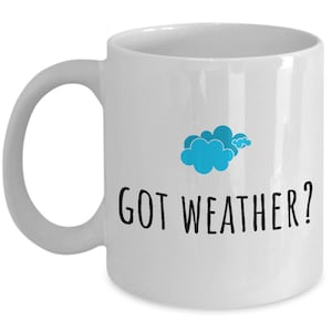 Meteorologist Gift - Meteorology Coffee Mug - Got Weather? - Weather Forecast Present