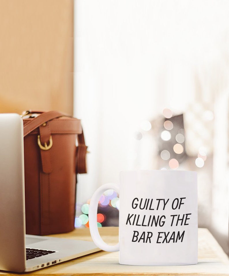 Funny Bar Exam Gift Bar Exam Mug Lawyer Gift Law Student Gift for