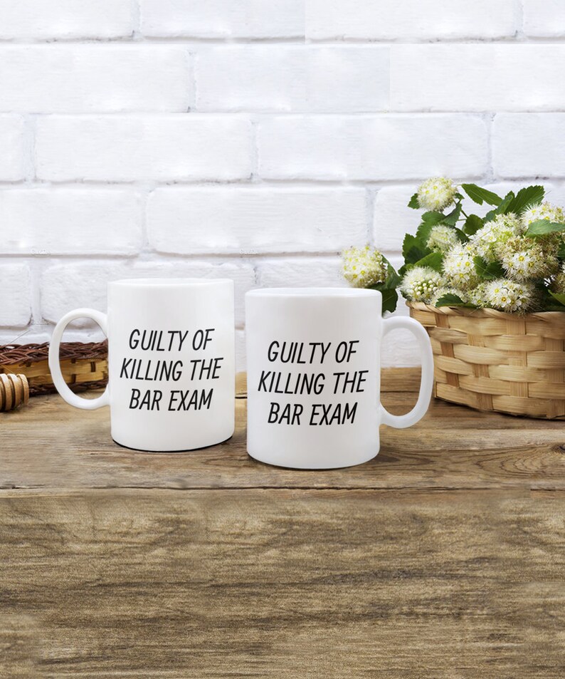 Funny Bar Exam Gift Bar Exam Mug Lawyer Gift Law Student Gift for