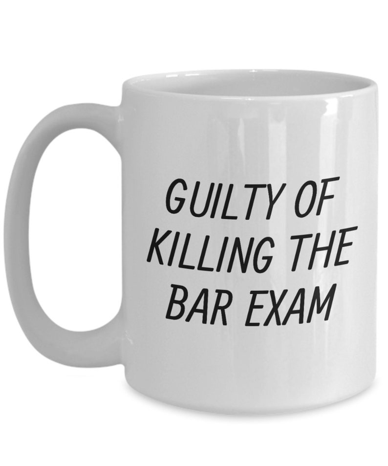 Funny Bar Exam Gift Bar Exam Mug Lawyer Gift Law Student Gift for