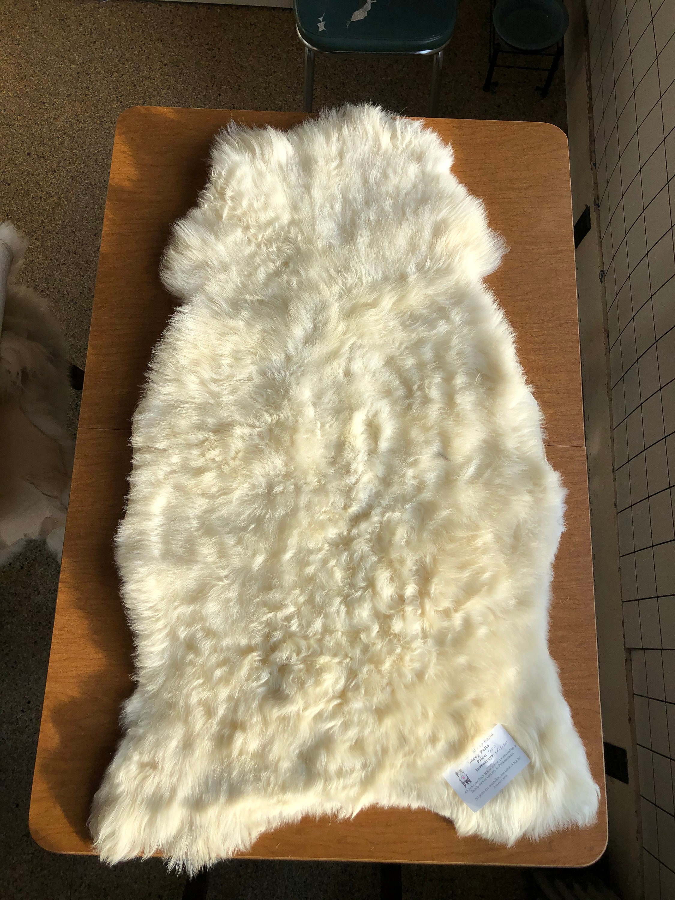 Large White Sheep Pelt Washable Etsy