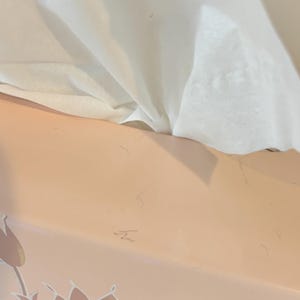 May include: A light peach tissue box with a white tissue partially pulled out. The box has a floral design on the side. The tissue is white and appears soft.