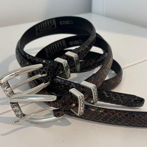 May include: Three brown and black patterned belts with silver-colored buckles. The belts are coiled and stacked, showcasing a textured, snake-like design. The buckles have an ornate design. The text "CLASSICS" and "C3603" is visible on the black belt.