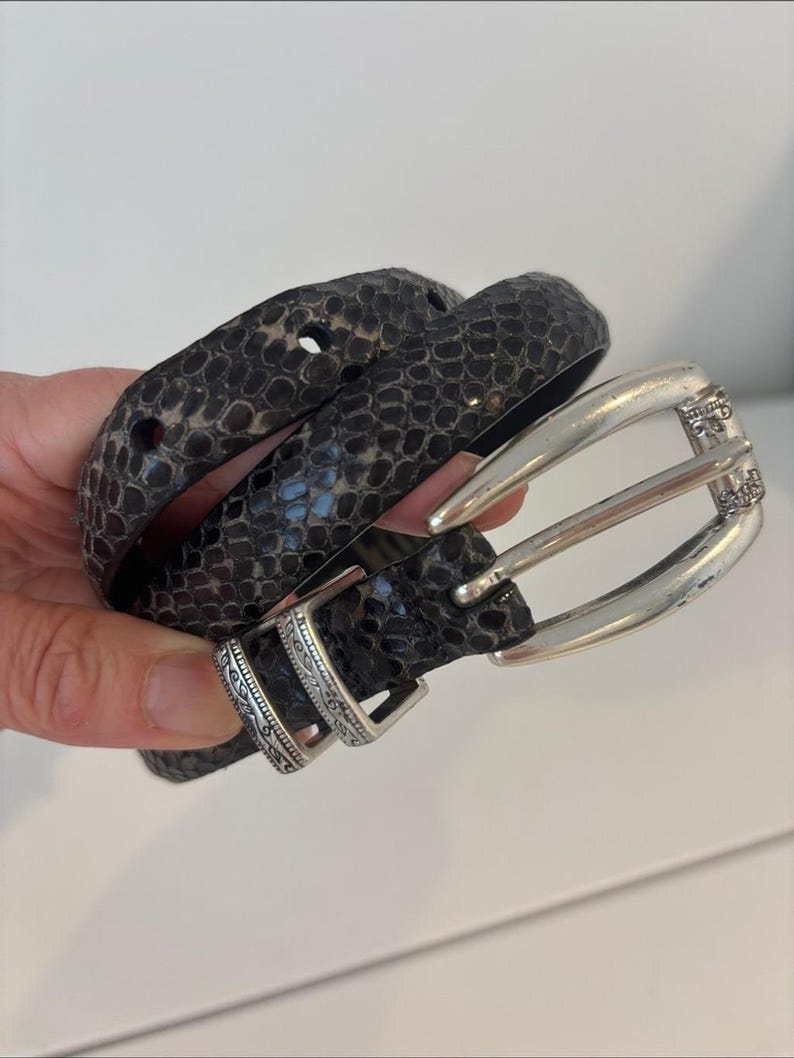 May include: A dark gray snakeskin-patterned belt with a silver-colored buckle. The belt has a textured appearance and is coiled. The buckle has a decorative design. The belt is a fashion accessory.