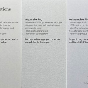 May include: Three paper options for printing art: Smooth Matte, Aquarelle Rag, and Hahnemuhle Photo Rag. Each paper type is described with its features and weight. For example, Smooth Matte is 100% cotton archival paper with a heavy weight of 330 gsm.