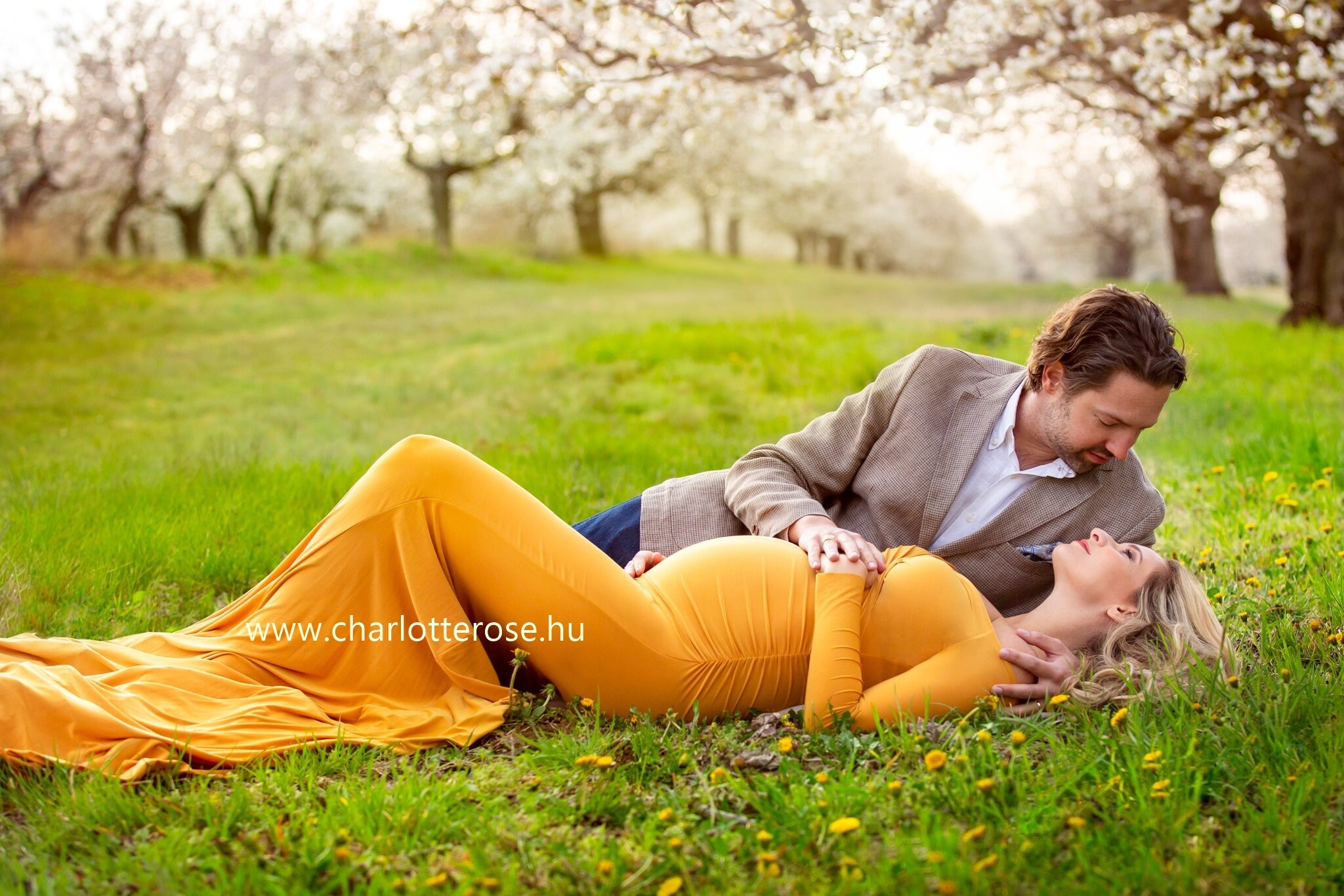 Maternity Dress for Photo Shoot Maternity Dress Maternity Etsy Canada