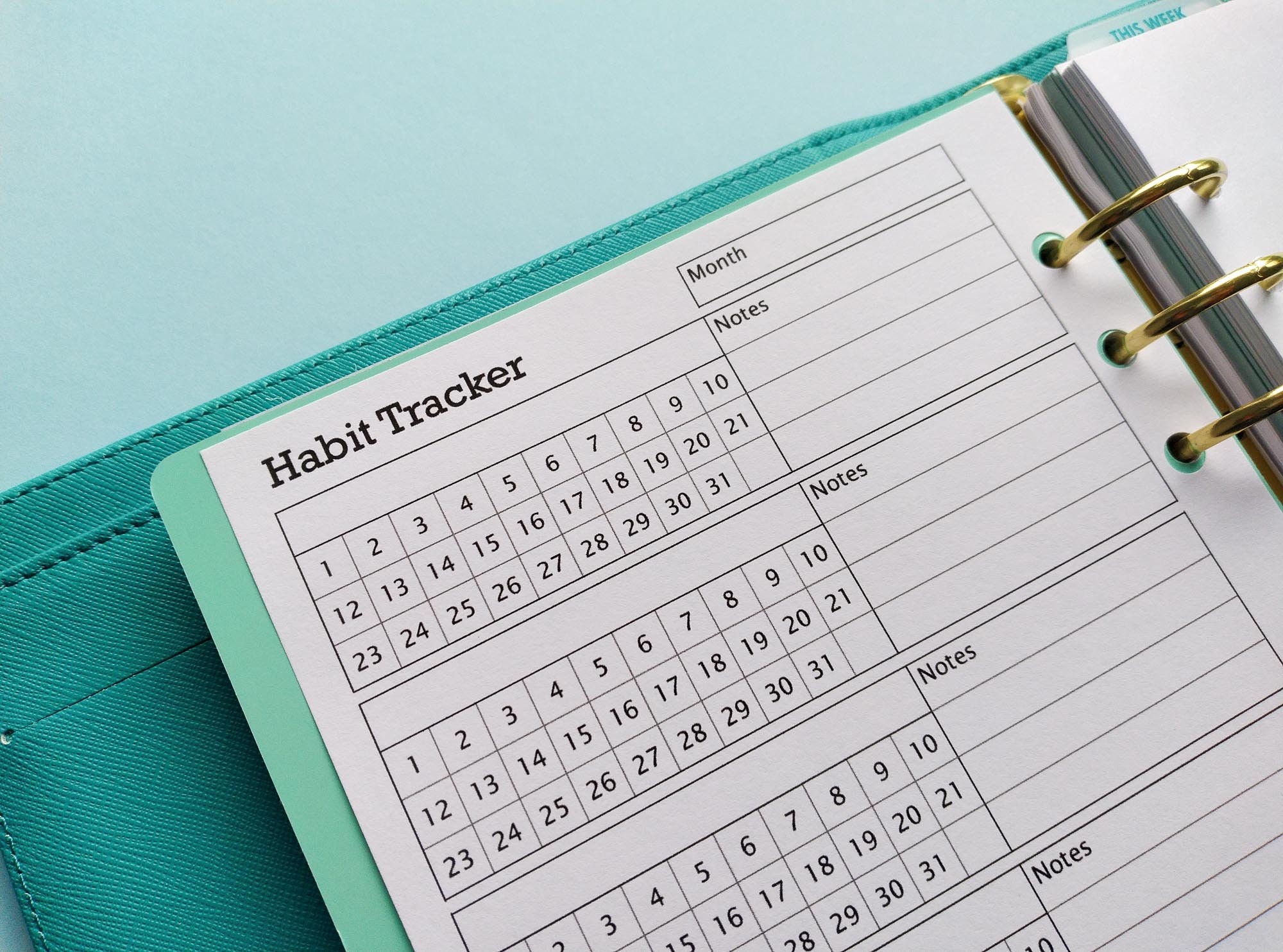 A5 Habit Tracker Printable Insert Perfect for keeping track | Etsy