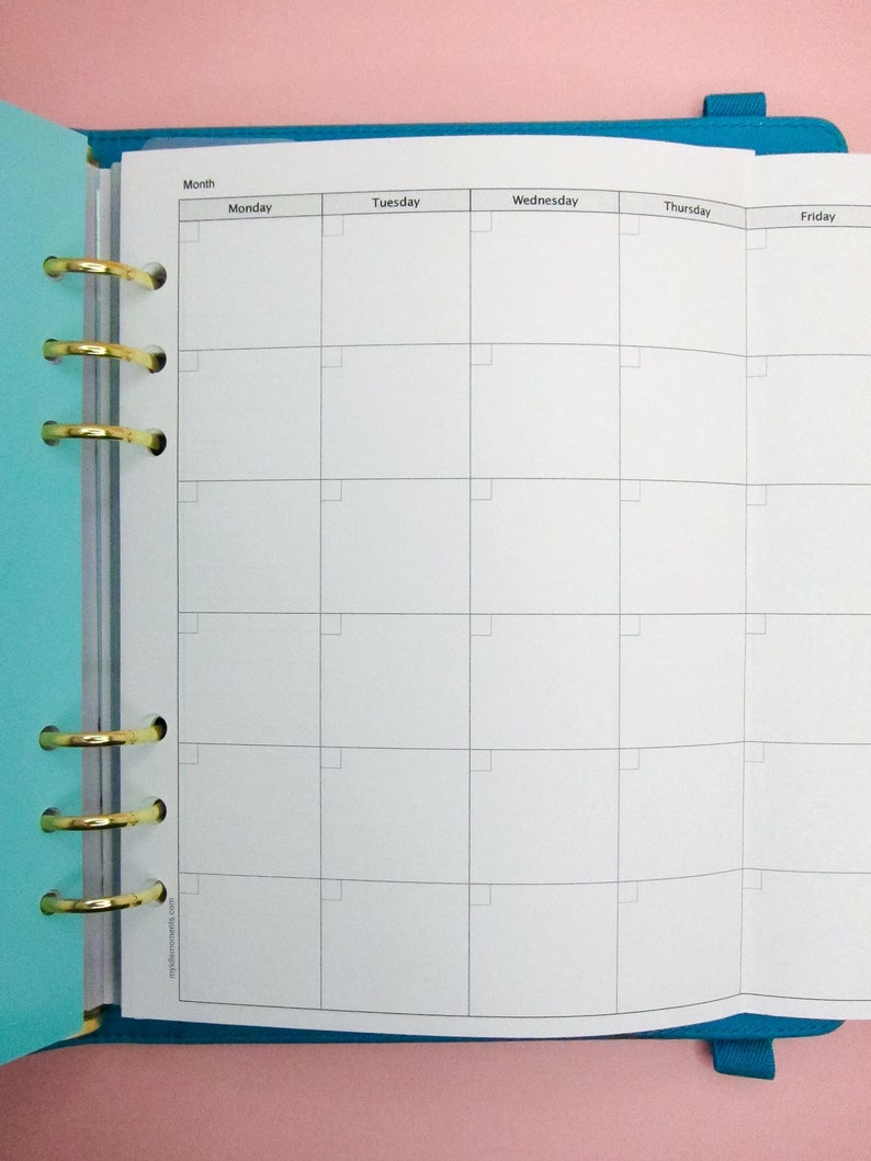 May include: A white weekly planner with a blue cover and gold rings. The planner has a section for each day of the week, Monday through Friday, and a section for the month. The planner is open to a blank page.