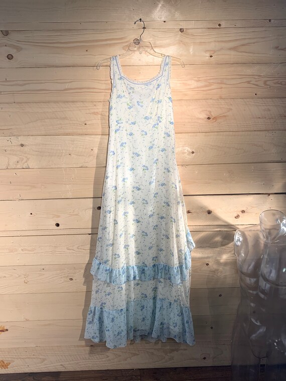 1960's-1970's Sylvia Ann floral maxi dress (gunne