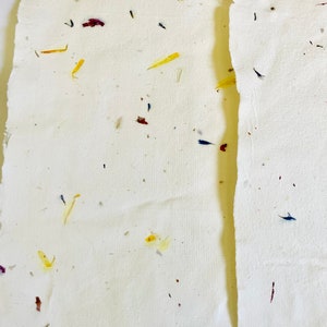 Handmade Paper from the Blue Mountains