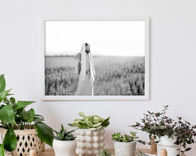 Jesus Christ in Field- Modern Christian Print, Black White Photo