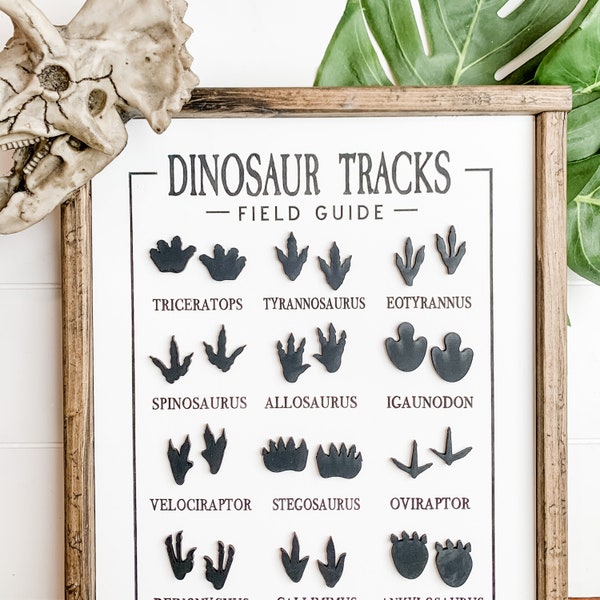 Decoración de pared con dinosaurios: Decoración para la habitación de un niño