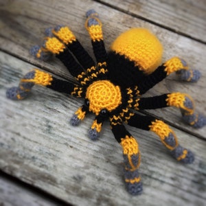 Plush Spider Tarantula Chaco Golden Knee