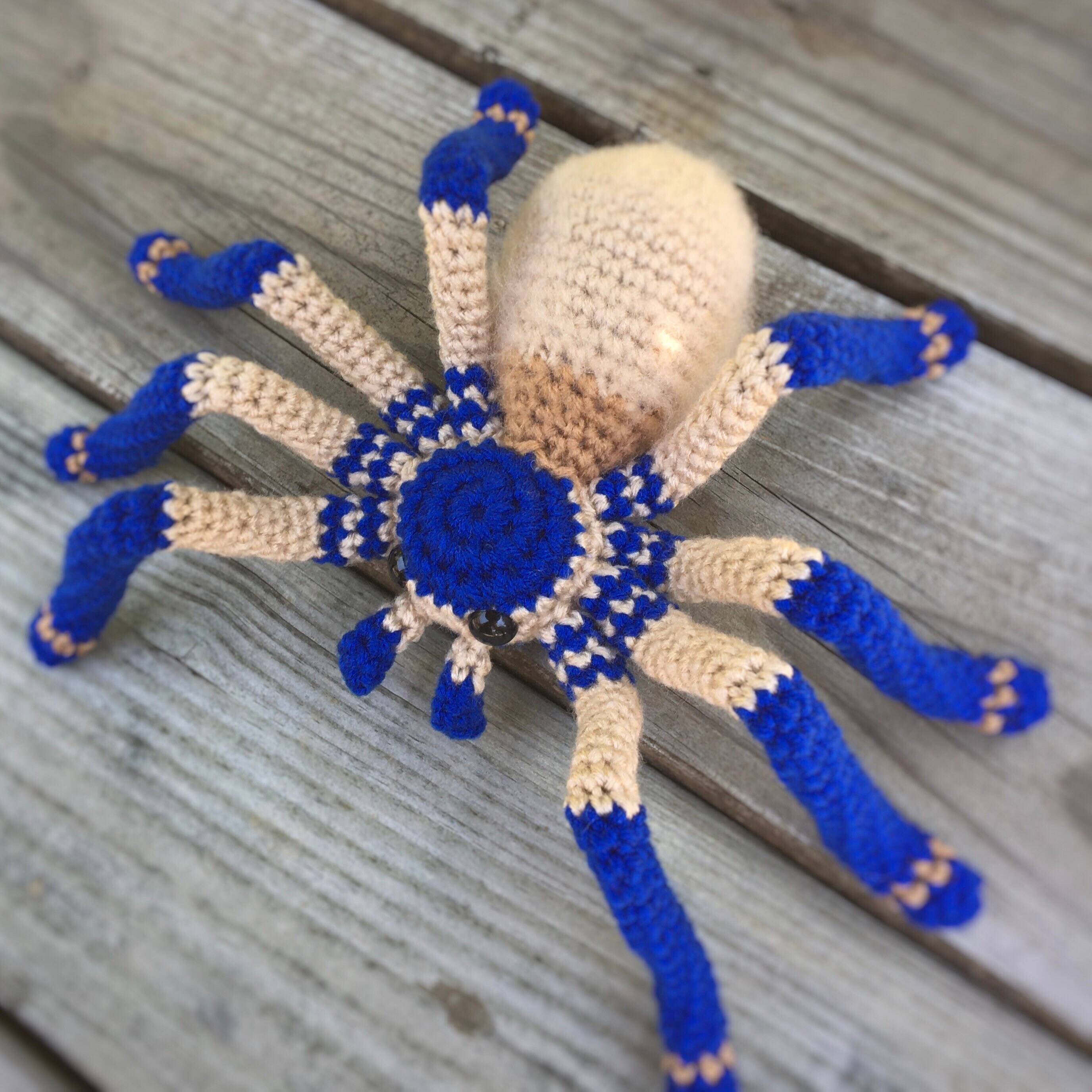 Plush Spider Tarantula Socotra Island Blue Baboon Etsy
