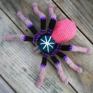 Plush Spider Tarantula Antilles Pinktoe