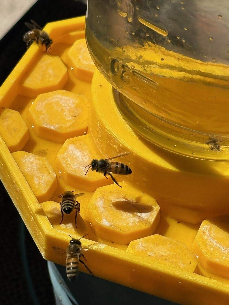 预防蜜蜂溺水 安全的蜜蜂水源 吸引蜜蜂到你的花园 帮助你的生态系统中的蜜蜂 支持传粉者