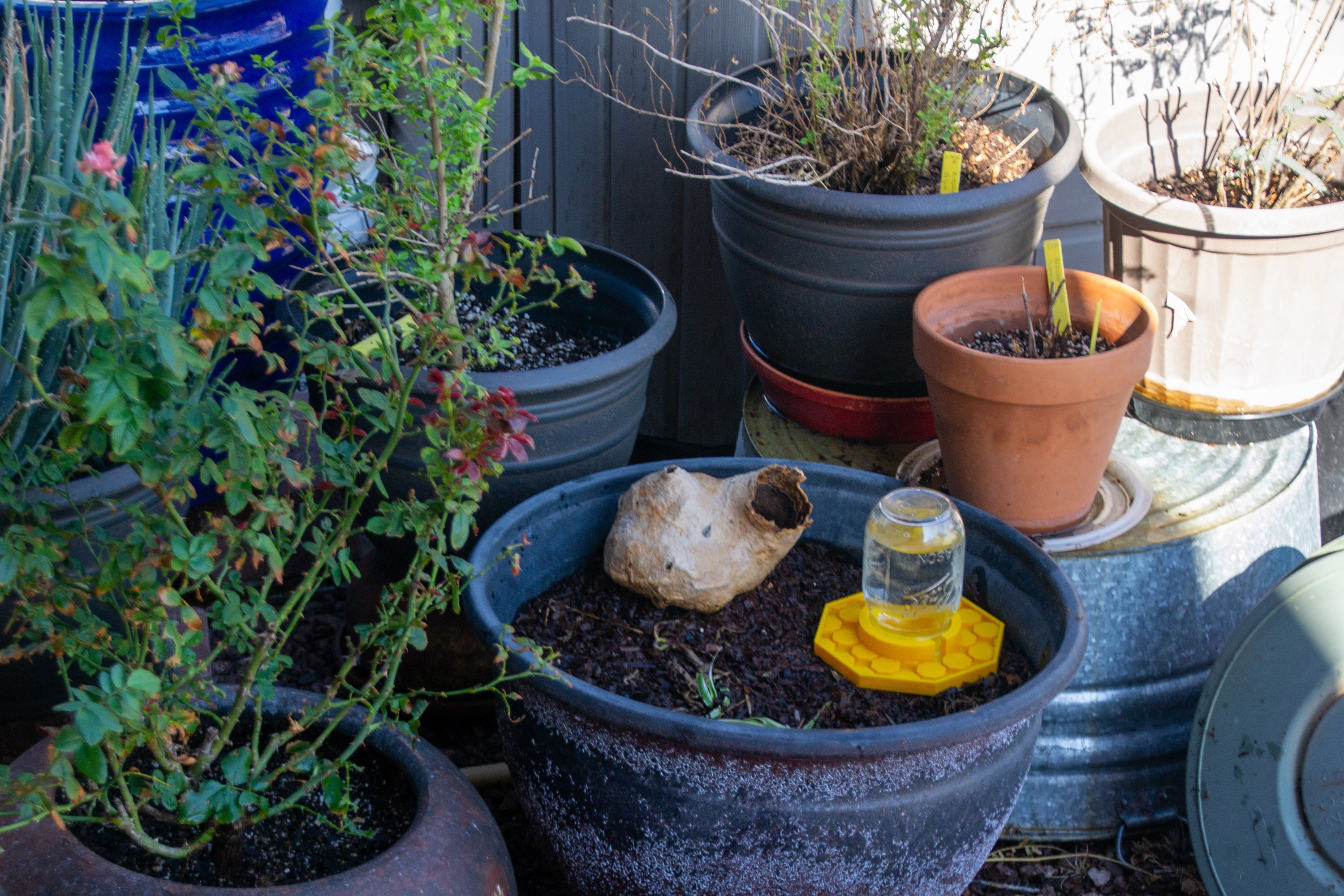 The Happy Bee Hydration Station (3D Printed)