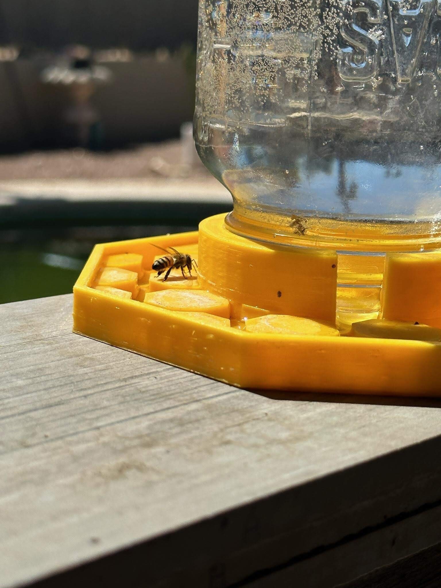 The Happy Bee Hydration Station (3D Printed)